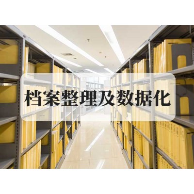檔案整理及數據化