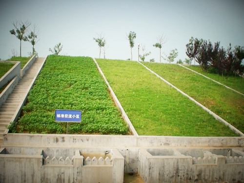 監(jiān)測 (5)